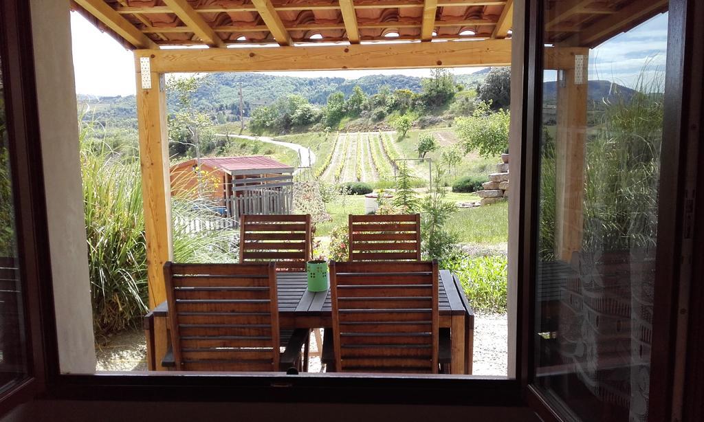 Gites "Entre Les Vignes" Tourreilles Exterior photo