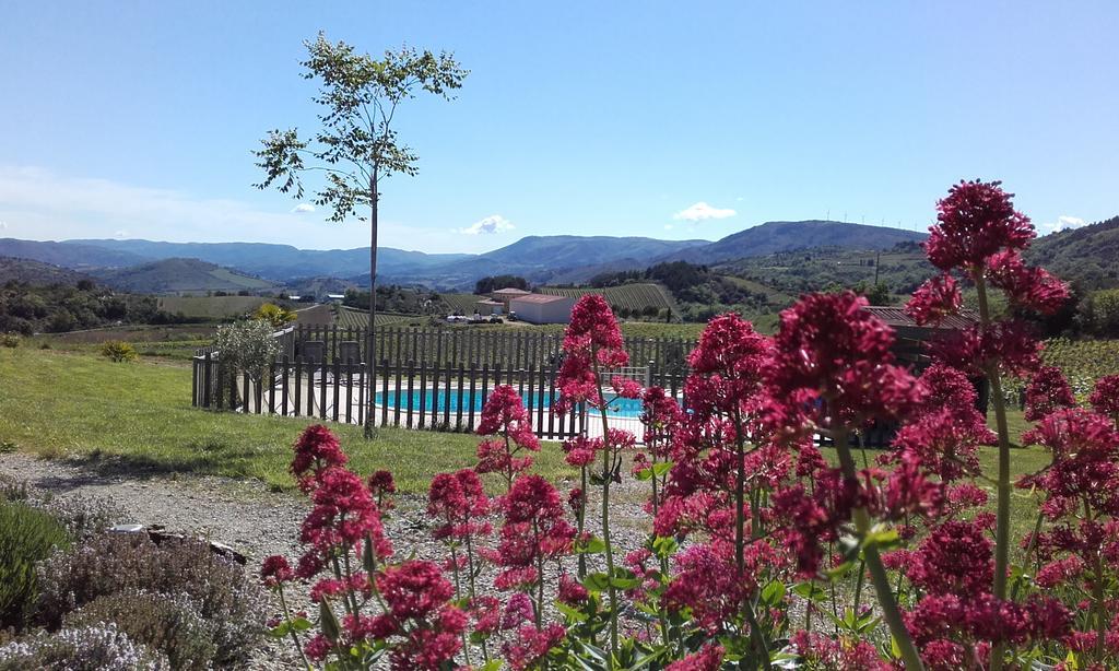 Gites "Entre Les Vignes" Tourreilles Exterior photo
