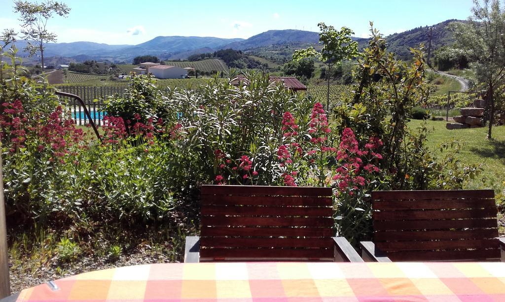 Gites "Entre Les Vignes" Tourreilles Exterior photo